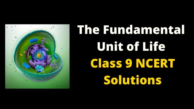 The fundamental unit of life NCERT Solutions