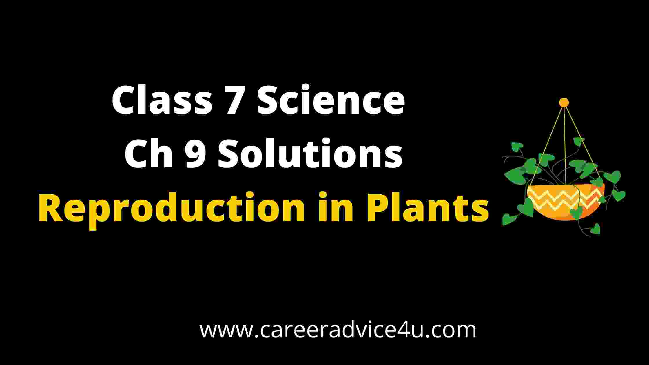 dav-class-7-science-chapter-9-solutions-reproduction-in-plants